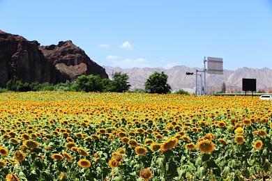 《毁灭全明星》工作室为PS5开发旗舰独占游戏